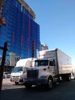 53860993_380858882498471_145386262172270592_n.jpg &nbsp;